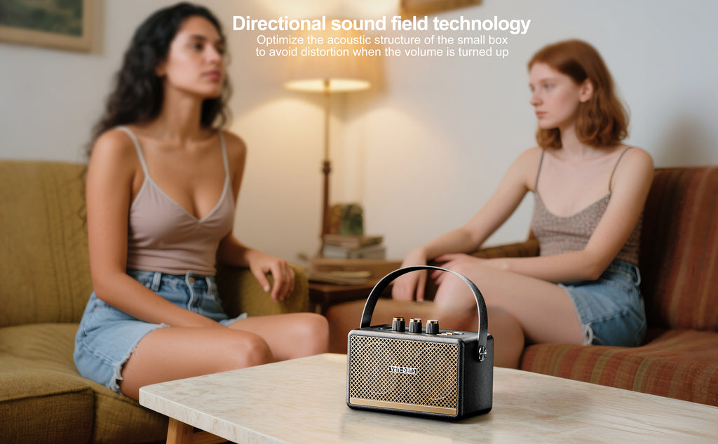 Altavoz portátil estilo retro con Bluetooth 5.3 y sonido potente 10W(VEN-DENS SPK011)